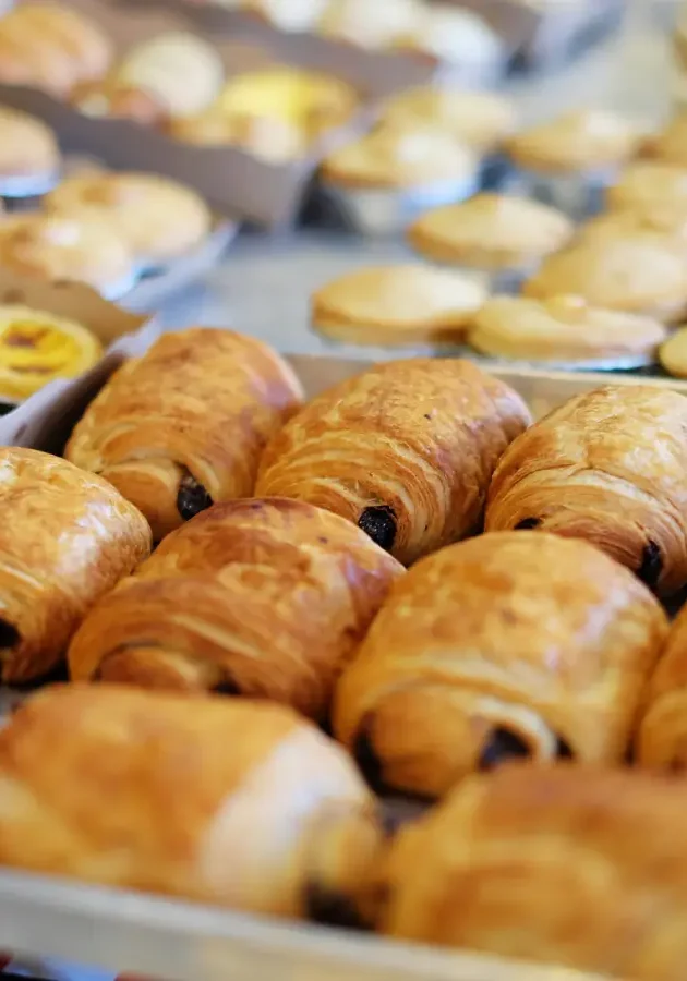 mink-mingle-qZ5lPCPvdXE-unsplash